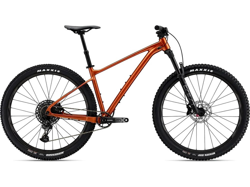 Fathom 29er sale 1 2019