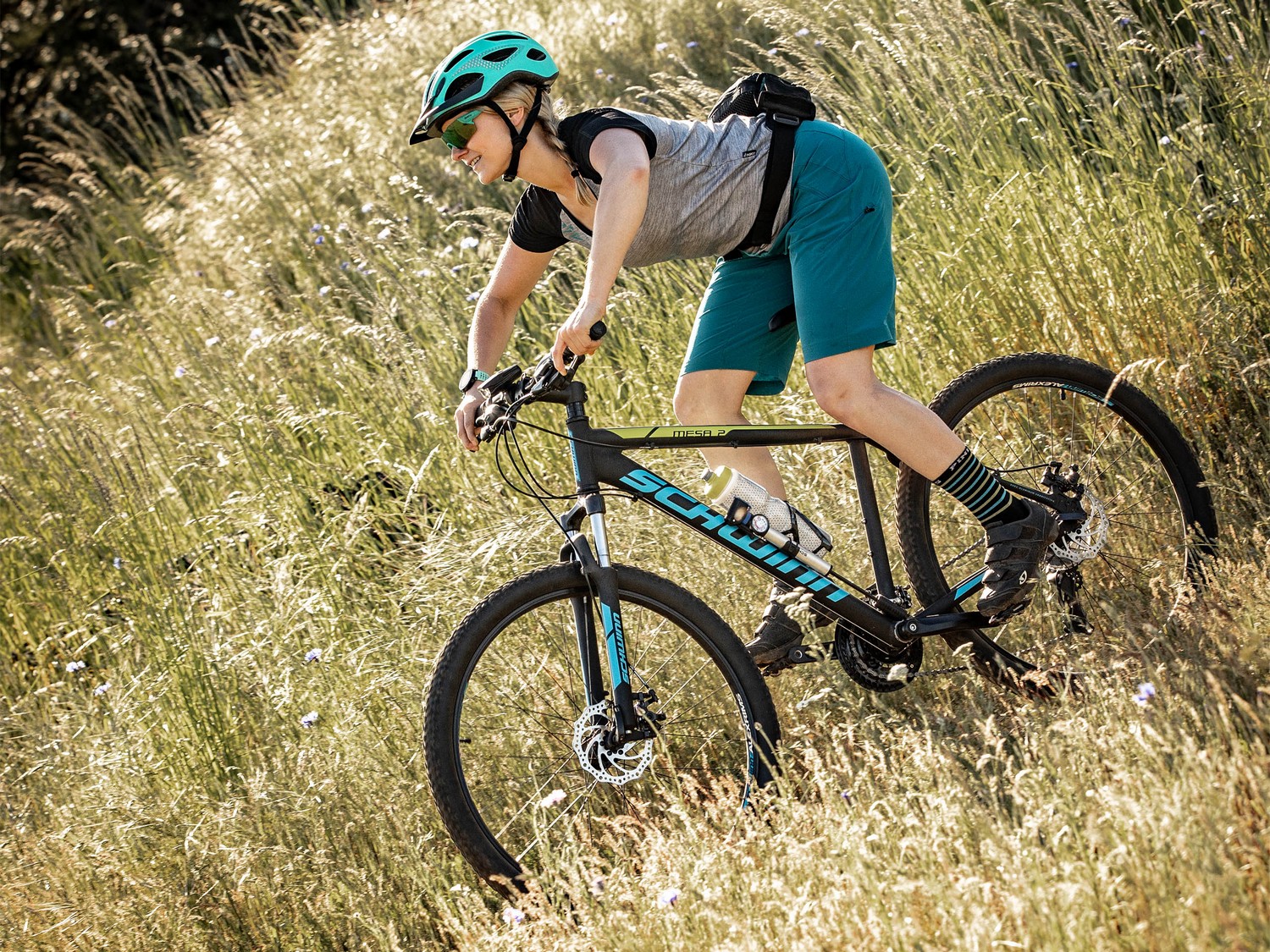 Горный велосипед Schwinn Mesa 2, год 2021, цвет Черный, ростовка 18.5