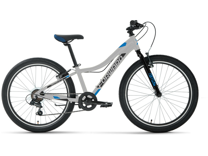 Подростковый велосипед Forward Twister 24 1.0, год 2023, цвет Серебристый-Синий, ростовка 12