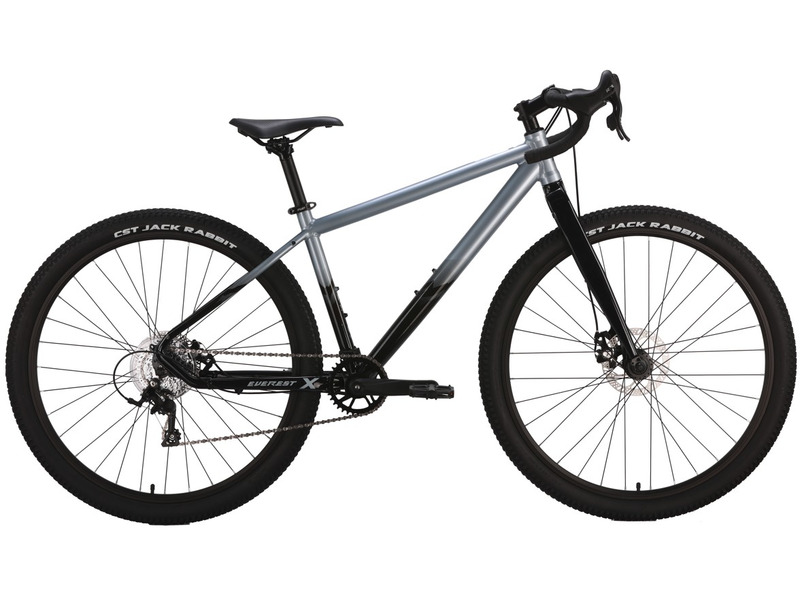 Горный велосипед Forward Everest 29 X D, год 2024, цвет Серебристый-Черный, ростовка 17