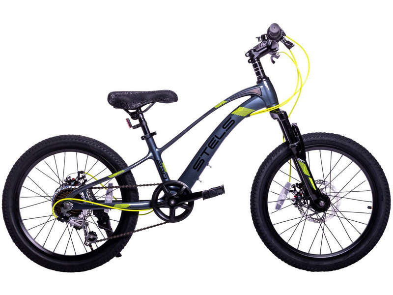 Детский велосипед Stels Leader 230 MD 20 Z010, год 2024, цвет Серебристый-Черный